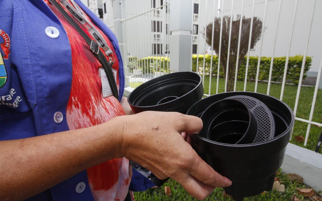 Prefeitura da Capital intensifica o combate ao mosquito Aedes aegypti