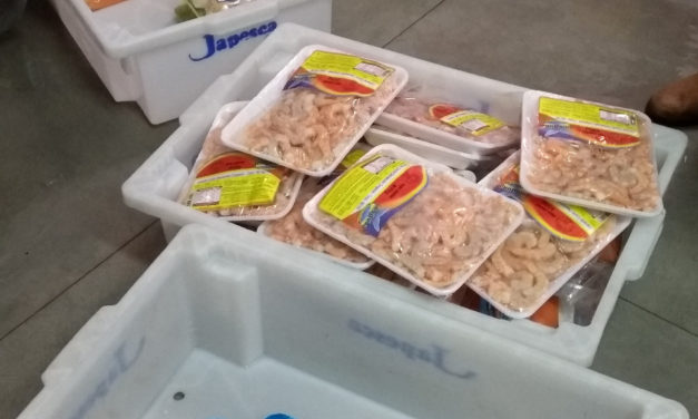 Força-Tarefa apreende mais de 730kg de frutos do mar impróprios para consumo na Capital