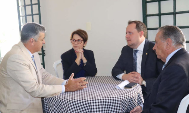 Mercosul pauta reunião da Federarroz com futura ministra