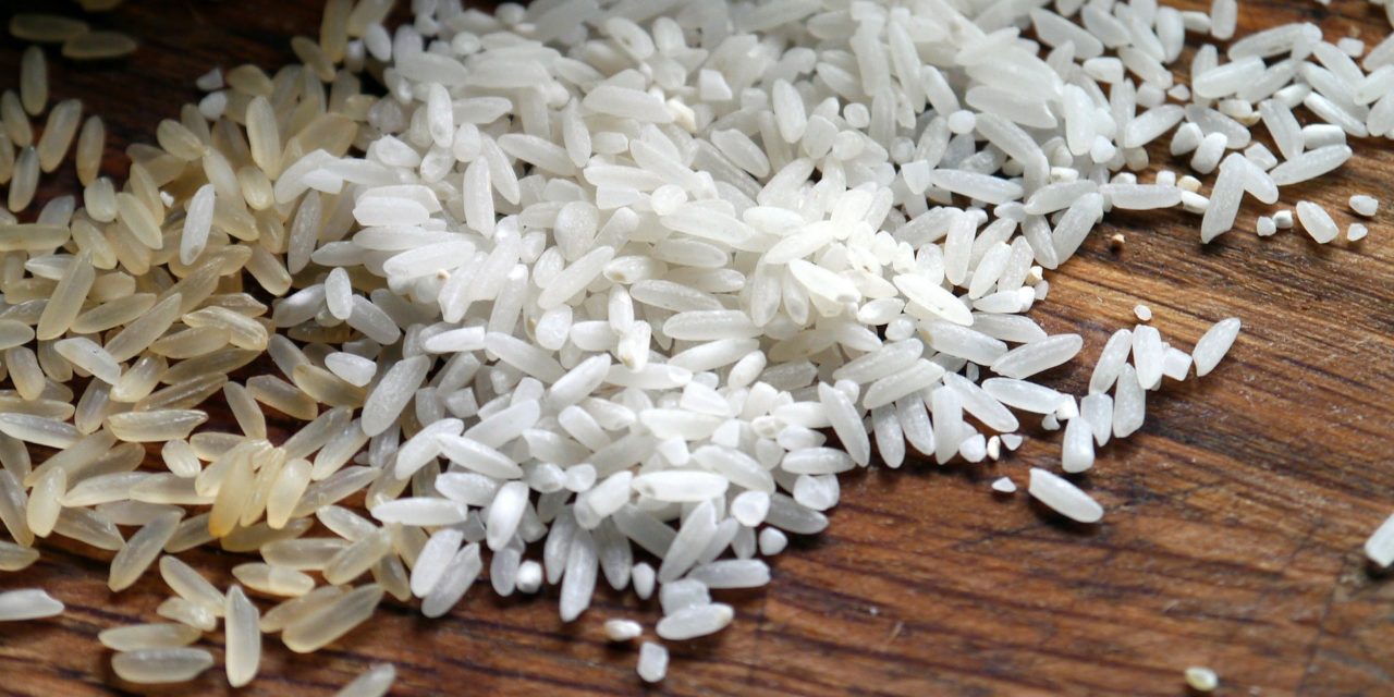Exportação de arroz bate recorde em outubro e atinge maior marca do ano
