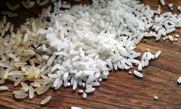 Exportação de arroz bate recorde em outubro e atinge maior marca do ano