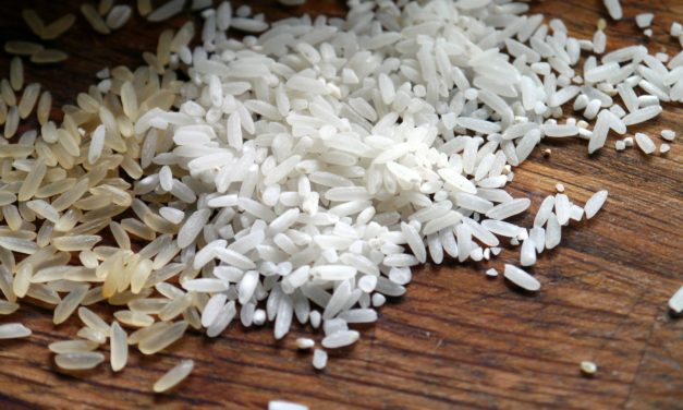 Federarroz recomenda diversificação para diminuir dependência do arroz