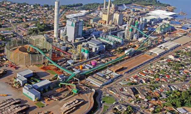 Indústria espera mercado da celulose aquecido em 2019