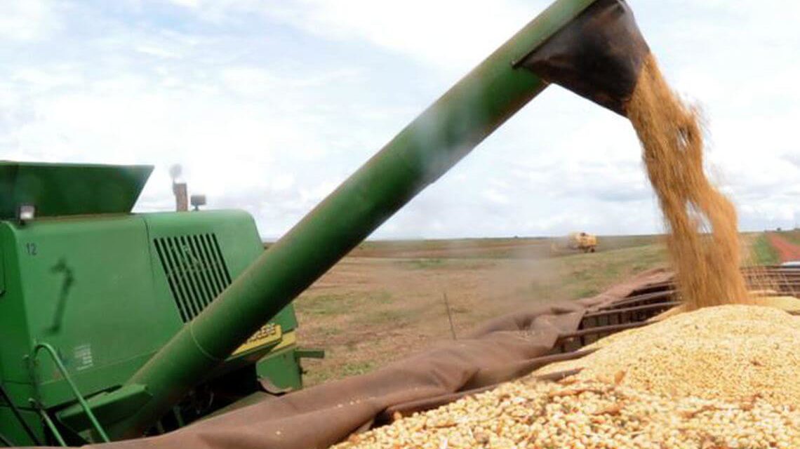 Brasil aumenta produtividade de grãos na safra 2018/2019