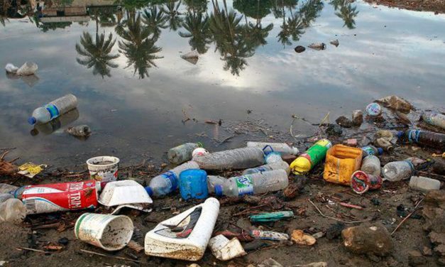Brasil é o 4º país que mais produz lixo no mundo, diz WWF