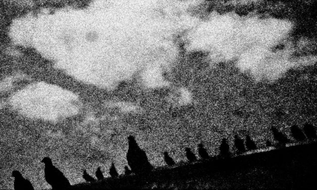 Mostra Panorama Internacional tem edição especial