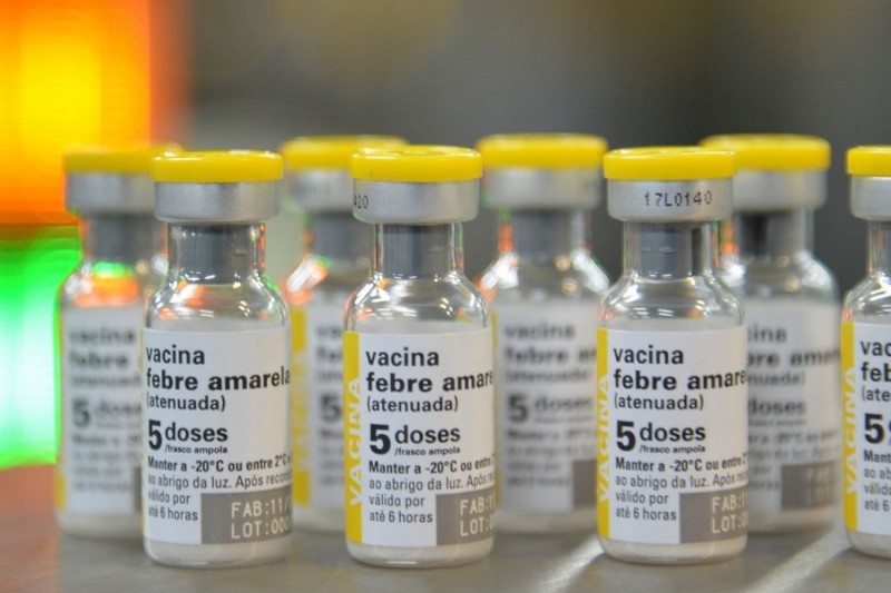Vigilância desencadeia estratégia de vacinação contra febre amarela