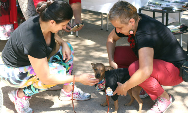 Brechocão transferido para o próximo domingo