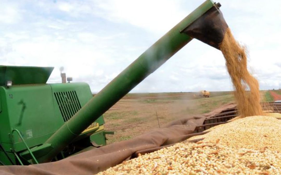 Produção de grãos no Brasil na Safra 2022/23 bate recorde com 322,8 milhões de toneladas