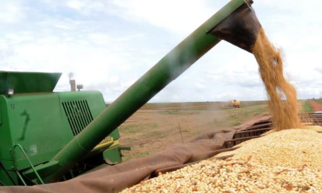 Produção de grãos no Brasil na Safra 2022/23 bate recorde com 322,8 milhões de toneladas