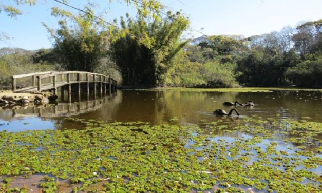 Jardim Botânico comemora 61 anos com programação especial aberta ao público