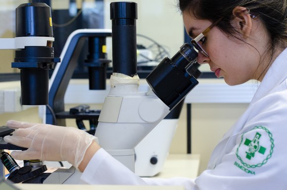 UFRGS fica entre as cinco instituições com a maior produção científica do Brasil