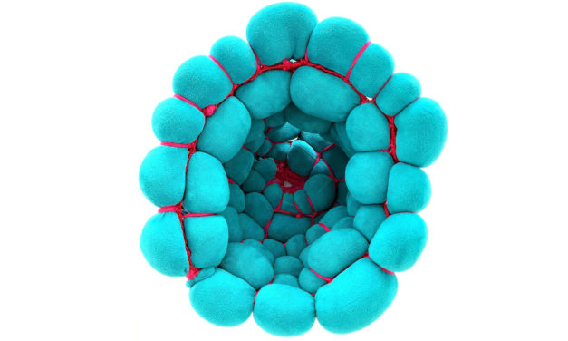 Galeria de Arte do Dmae recebe nova exposição nesta quarta-feira