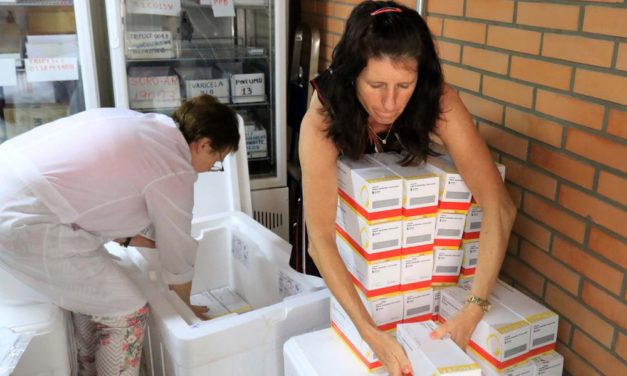 Caxias do Sul recebe mais 10 mil doses da vacina contra febre amarela