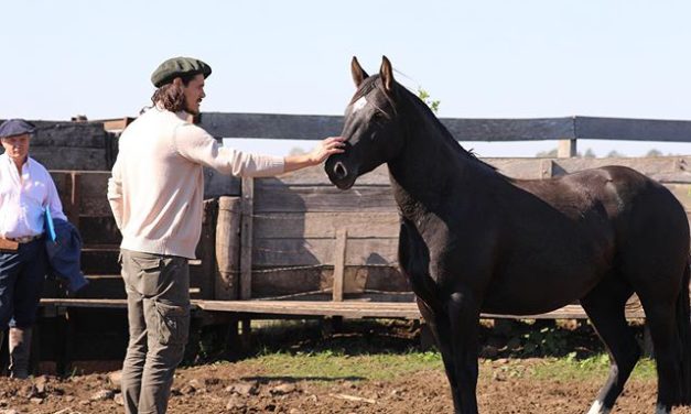 Jornalista argentino garante que Cavani já está no Uruguai