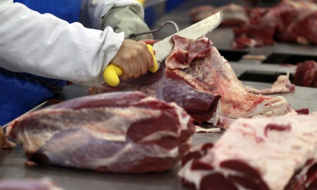 Brasil deve ter crescimento de 8,8% em exportações de carne