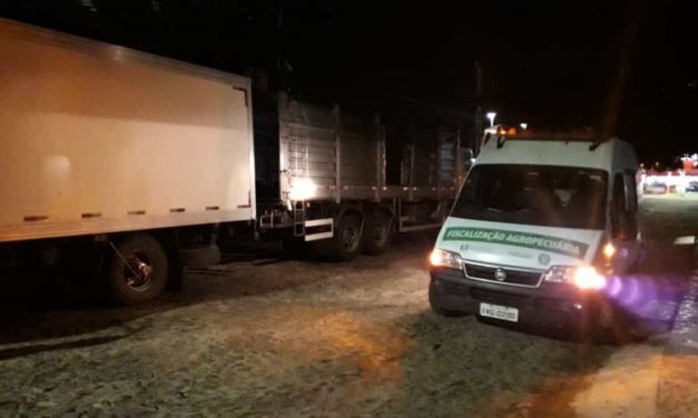 Fiscalização apreende 10 toneladas de carne suína sem procedência em Torres