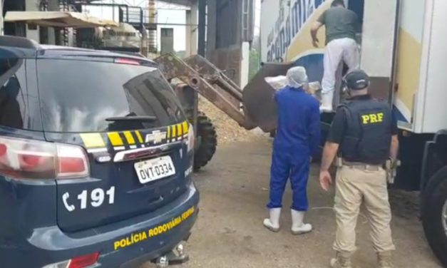 PRF apreende quase uma tonelada de carne transportada irregularmente em Veranópolis