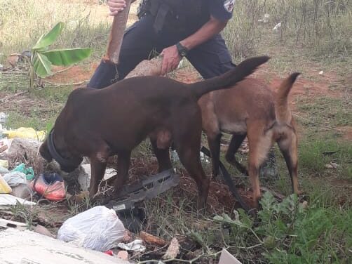Com o apoio da Guarda Municipal, Brigada Militar encerra ponto de tráfico no Breno Garcia