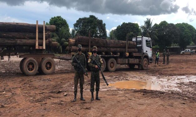 Militares colaboram na fiscalização de madeireiras no Norte