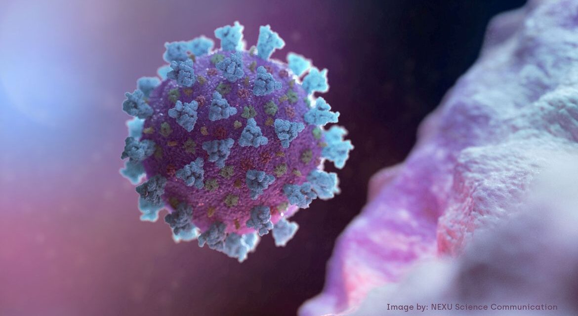 Anvisa autoriza uso emergencial de coquetel contra Covid-19