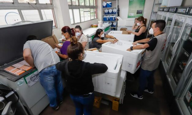 RS recebe maior lote de vacinas contra Covid-19 nesta sexta-feira