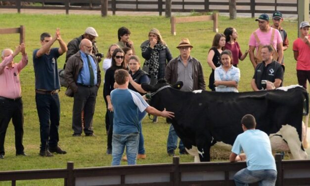 Expoleite Fenasul é cancelada pelo segundo ano em razão da pandemia de Covid-19
