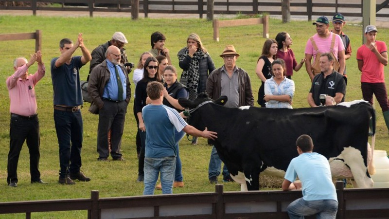 Expoleite Fenasul é cancelada pelo segundo ano em razão da pandemia de Covid-19