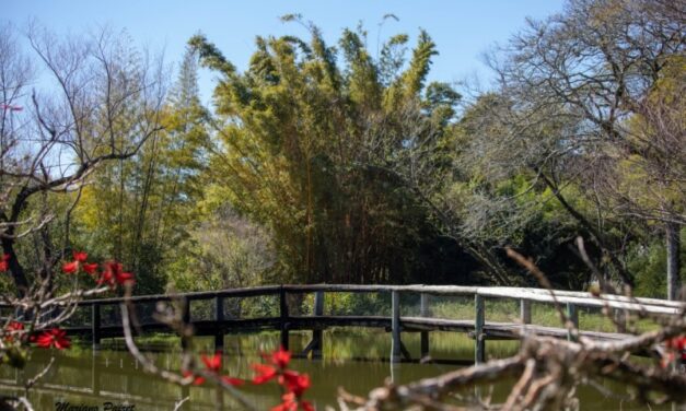 Zoológico, Jardim Botânico e unidades de conservação reabrem para visitação