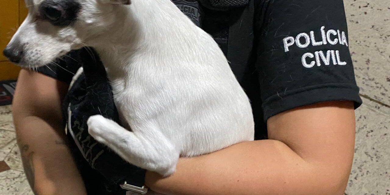 Cachorro que aspirou fumaça de maconha em Esteio é resgatado pela Polícia Civil