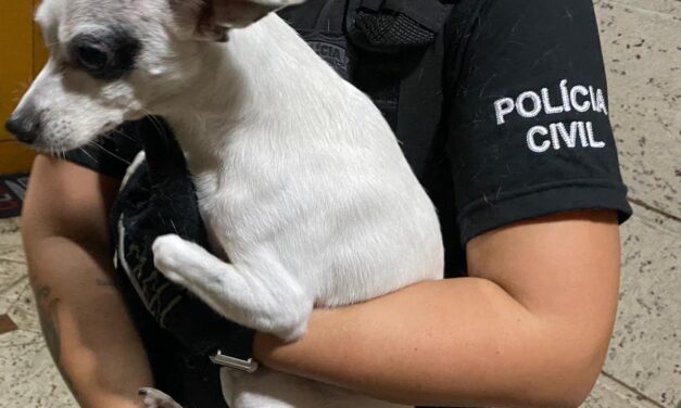 Cachorro que aspirou fumaça de maconha em Esteio é resgatado pela Polícia Civil