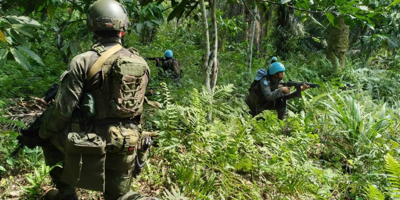 Militares brasileiros conduzem treinamento de selva para tropas da Guatemala no Congo