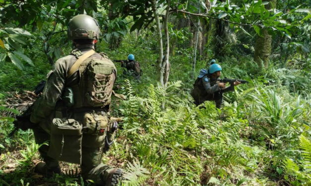 Militares brasileiros conduzem treinamento de selva para tropas da Guatemala no Congo