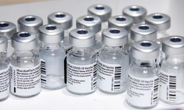 Brasil recebe 527 mil novas doses de vacina da Pfizer contra Covid-19