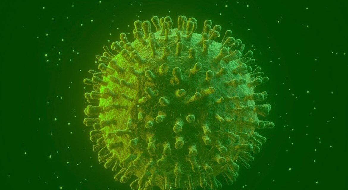 Covid-19: Infectados podem gerar anticorpos permanentes, diz estudo