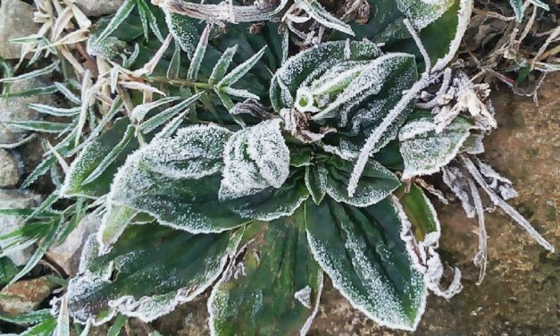 Inmet atualiza alerta e faz previsão de frio intenso para a semana no RS, com chance de neve na Serra