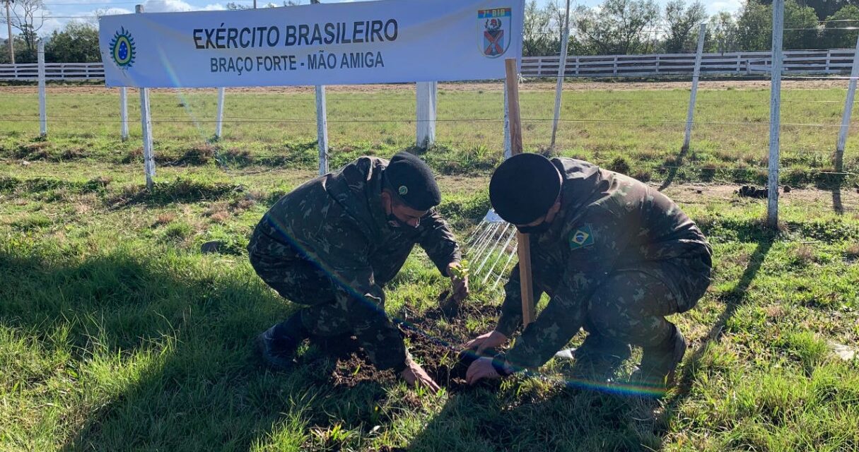 Exército inicia plantio de mais de mil árvores no estado
