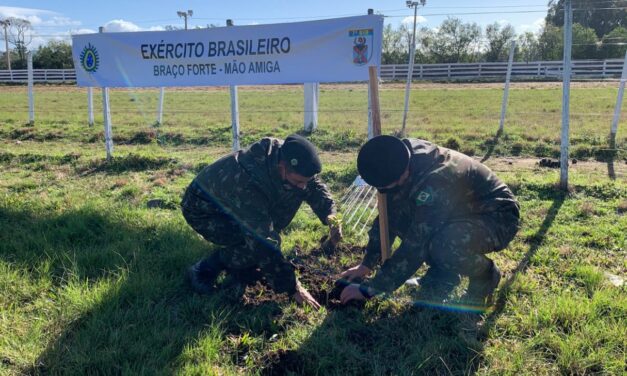 Exército inicia plantio de mais de mil árvores no estado