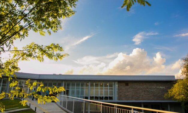 Prefeitura de Porto Alegre cadastra interessados em solicitar a castração de cães e gatos