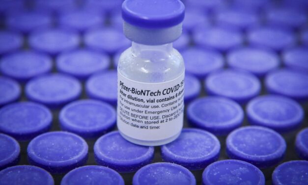 Pfizer entrega mais 1,3 milhão de doses de vacina ao Brasil