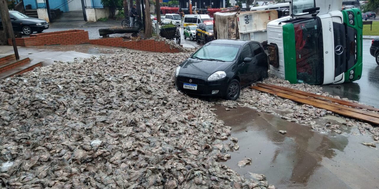 Caminhão com restos de peixe tomba na BR-285 em Passo Fundo; Veja imagens