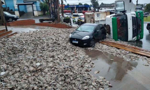 Caminhão com restos de peixe tomba na BR-285 em Passo Fundo; Veja imagens