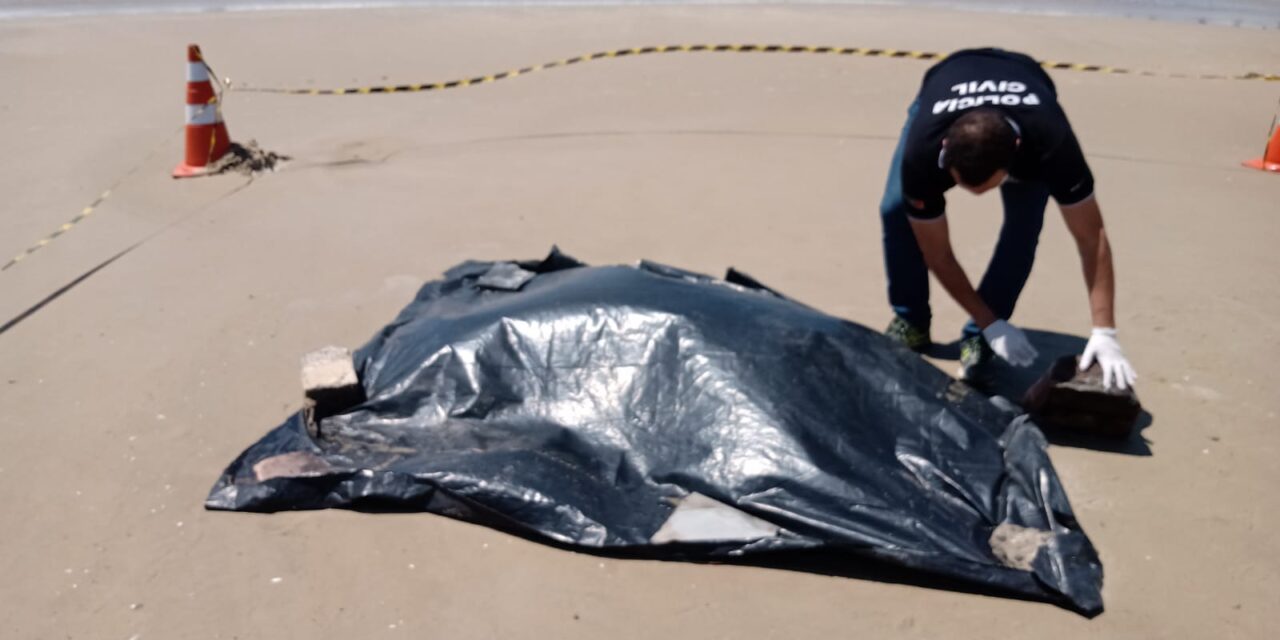 Ossada encontrada na beira-mar de Cidreira é de um cachorro, aponta perícia do IGP