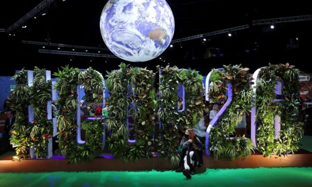 COP26: líderes mundiais prometem conter desmatamento até 2030