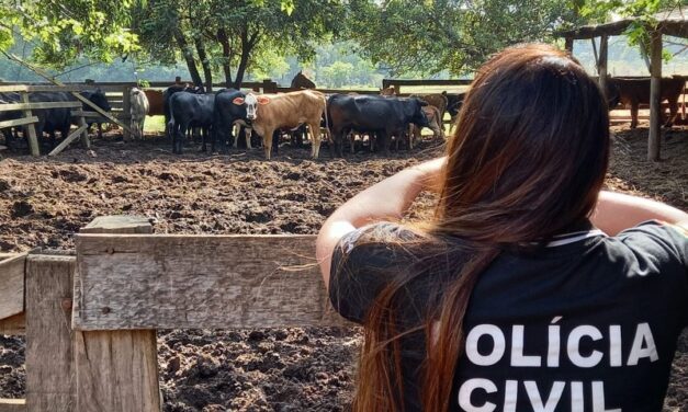 Operação Último Reponte contra o abigeato é deflagrada na Região Metropolitana, Serra e Litoral