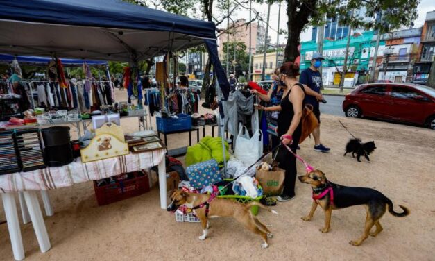 Brechocão de Natal é neste domingo (19) na Redenção