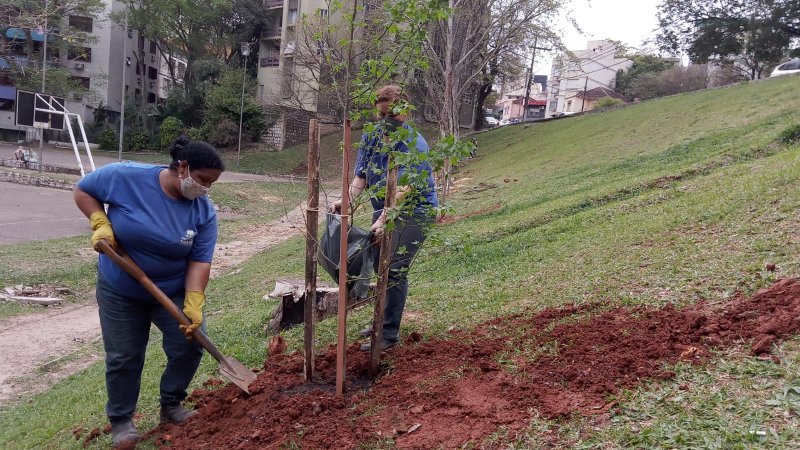 Prefeitura de Santa Maria planta cerca de 1,6 mil mudas de árvores ao longo de 2021