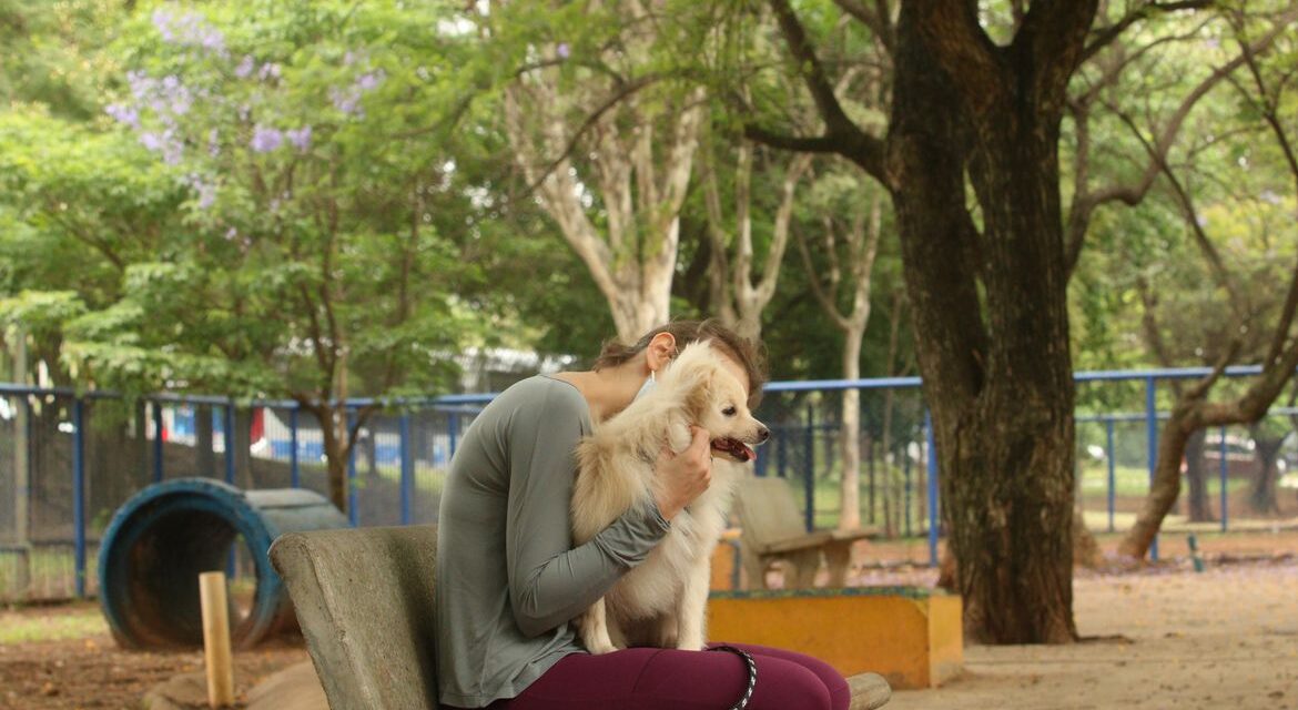 Entenda por que fogos de artifício assustam cachorros e gatos