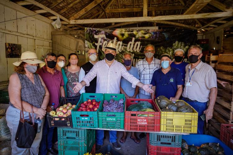 Prefeito em exercício participa da abertura da colheita da uva na zona rural de Porto Alegre