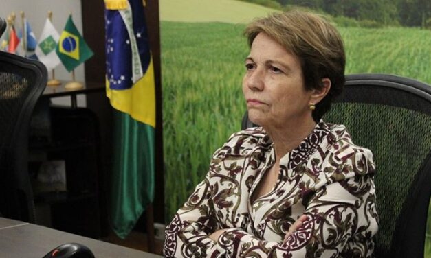 CMA pode convocar ministra da Agricultura para falar de negacionismo na pauta ambiental